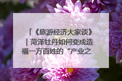 《旅游经济大家谈》｜菏泽牡丹如何变成造福一方百姓的“产业之花”“富民之花”？