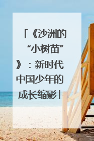 《沙洲的“小树苗”》：新时代中国少年的成长缩影