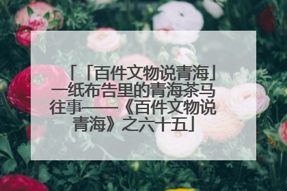「百件文物说青海」一纸布告里的青海茶马往事——《百件文物说青海》之六十五