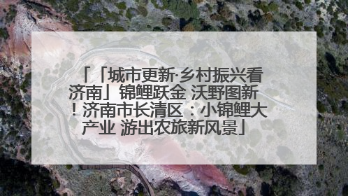 「城市更新·乡村振兴看济南」锦鲤跃金 沃野图新！济南市长清区：小锦鲤大产业 游出农旅新风景