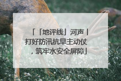 「地评线」河声丨打好防汛抗旱主动仗，筑牢水安全屏障