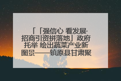 「强信心 看发展·招商引资拼落地」政府托举 绘出蔬菜产业新图景——镇原县甘肃聚广利现代设施蔬菜种植基地见闻