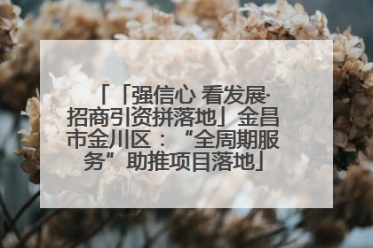 「强信心 看发展·招商引资拼落地」金昌市金川区：“全周期服务”助推项目落地