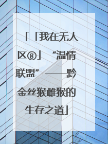 「我在无人区⑧」“温情联盟”——黔金丝猴雌猴的生存之道