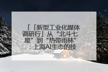 「新型工业化媒体调研行」从“北斗七星”到“热带雨林”：上海AI生态的技术商业共生密码