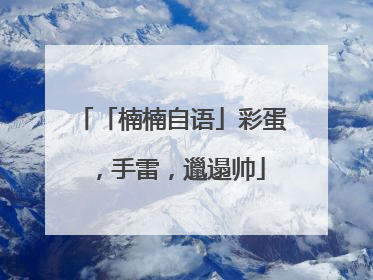 「楠楠自语」彩蛋，手雷，邋遢帅