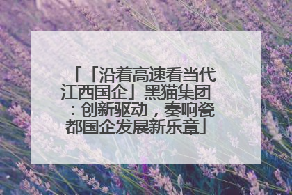 「沿着高速看当代江西国企」黑猫集团：创新驱动，奏响瓷都国企发展新乐章