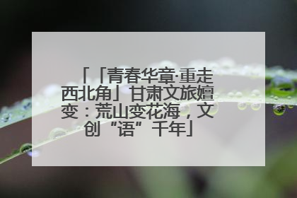 「青春华章·重走西北角」甘肃文旅嬗变：荒山变花海，文创“语”千年