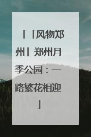 「风物郑州」郑州月季公园：一路繁花相迎