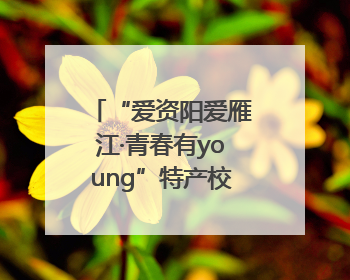 “爱资阳爱雁江·青春有young”特产校园行活动启幕