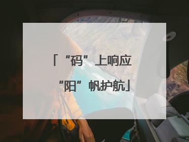 “码”上响应 “阳”帆护航