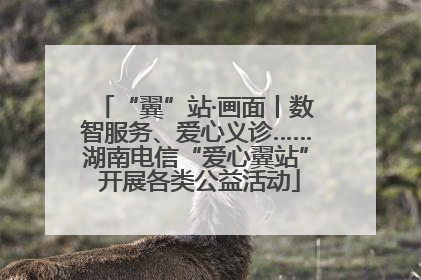 “翼”站·画面丨数智服务、爱心义诊……湖南电信“爱心翼站” 开展各类公益活动