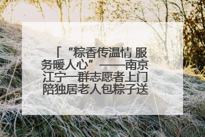 “粽香传温情 服务暖人心”——南京江宁一群志愿者上门陪独居老人包粽子送去节日的欢乐