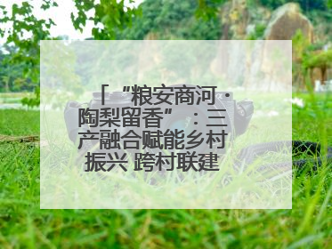 “粮安商河・陶梨留香”：三产融合赋能乡村振兴 跨村联建绘就共富画卷