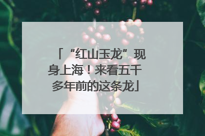 “红山玉龙”现身上海！来看五千多年前的这条龙