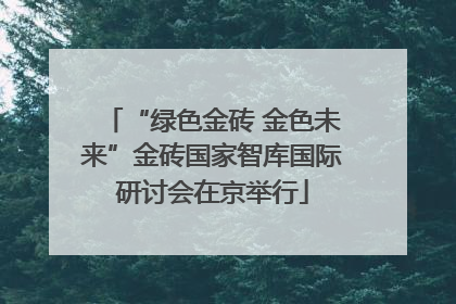 “绿色金砖 金色未来”金砖国家智库国际研讨会在京举行