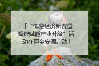 “低空经济新赛道·管理赋能产业升级”活动在萍乡安源启动