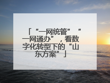 “一网统管”“一网通办”，看数字化转型下的“山东方案”