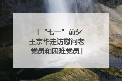 “七一”前夕 王宗华走访慰问老党员和困难党员