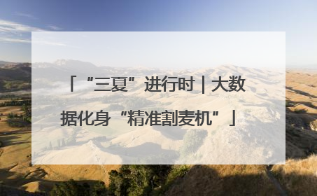 “三夏”进行时｜大数据化身“精准割麦机”