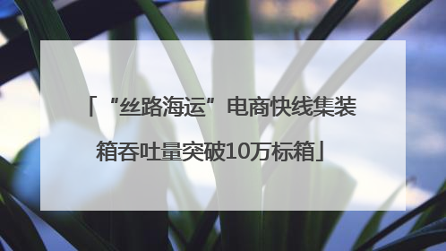 “丝路海运”电商快线集装箱吞吐量突破10万标箱