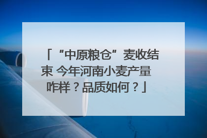 “中原粮仓”麦收结束 今年河南小麦产量咋样？品质如何？