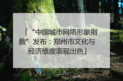 “中国城市网络形象指数”发布：郑州市文化与经济维度表现出色