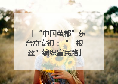 “中国茧都”东台富安镇：“一根丝”编织富民路