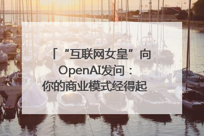 “互联网女皇”向OpenAI发问：你的商业模式经得起价格战考验么？