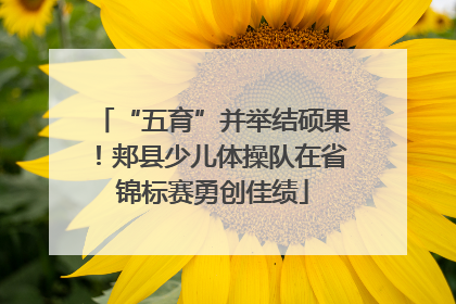 “五育”并举结硕果！郏县少儿体操队在省锦标赛勇创佳绩