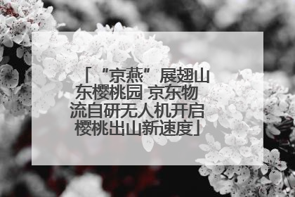 “京燕”展翅山东樱桃园 京东物流自研无人机开启樱桃出山新速度