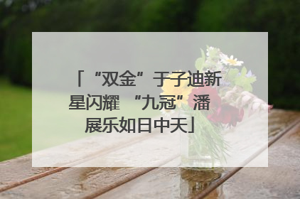 “双金”于子迪新星闪耀 “九冠”潘展乐如日中天