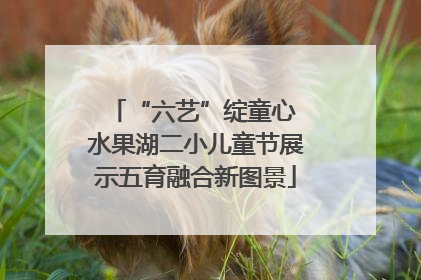 “六艺”绽童心 水果湖二小儿童节展示五育融合新图景