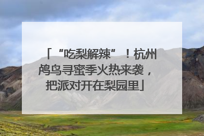 “吃梨解辣”！杭州鸬鸟寻蜜季火热来袭，把派对开在梨园里