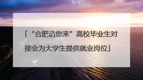 “合肥请您来”高校毕业生对接会为大学生提供就业岗位