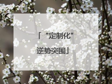 “定制化” 逆势突围