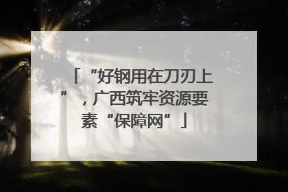 “好钢用在刀刃上”，广西筑牢资源要素“保障网”