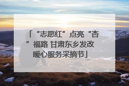 “志愿红”点亮“杏”福路 甘肃东乡发改暖心服务采摘节