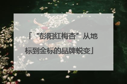 “彭阳红梅杏”从地标到金标的品牌蜕变
