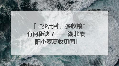 “少用种、多收粮”有何秘诀？——湖北襄阳小麦夏收见闻