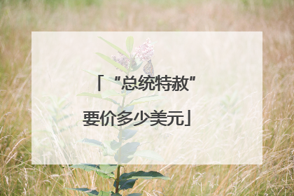 “总统特赦”要价多少美元