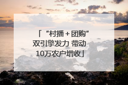 “村播＋团购”双引擎发力 带动10万农户增收