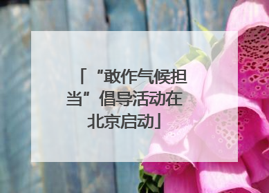 “敢作气候担当”倡导活动在北京启动