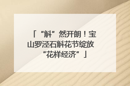 “斛”然开朗！宝山罗泾石斛花节绽放“花样经济”