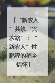 “新农人”共筑“兴农路”：“新农人”付鹏程的稻乡情怀