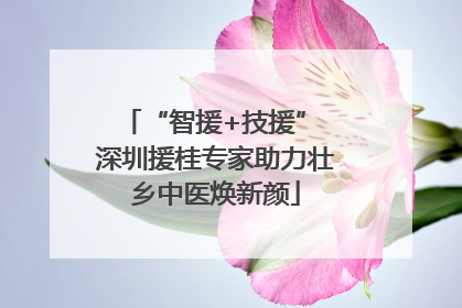 “智援+技援” 深圳援桂专家助力壮乡中医焕新颜