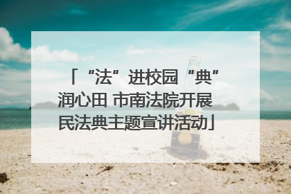 “法”进校园“典”润心田 市南法院开展民法典主题宣讲活动