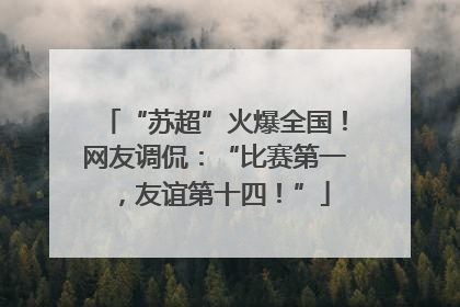 “苏超”火爆全国！网友调侃：“比赛第一，友谊第十四！”