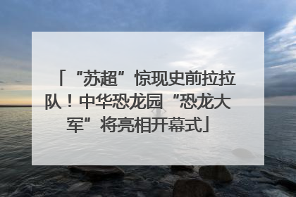 “苏超”惊现史前拉拉队！中华恐龙园“恐龙大军”将亮相开幕式
