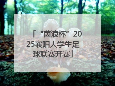 “茵浪杯”2025襄阳大学生足球联赛开赛